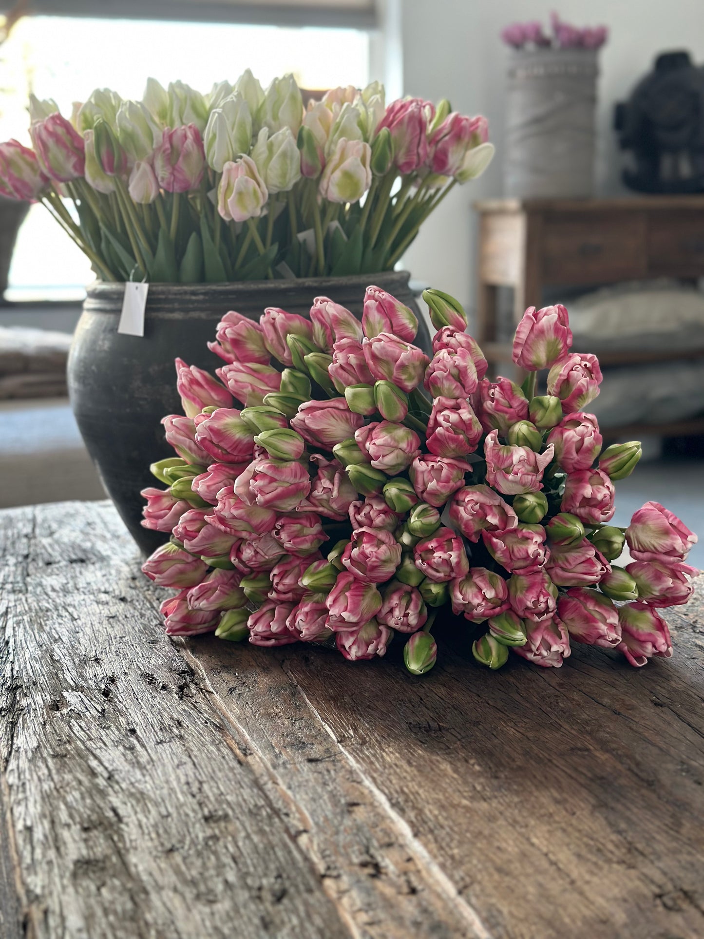 Papegaai tulpen (zijden)